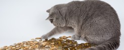 Jakie są najlepsze strategie oszczędzania z lokatami bankowymi?